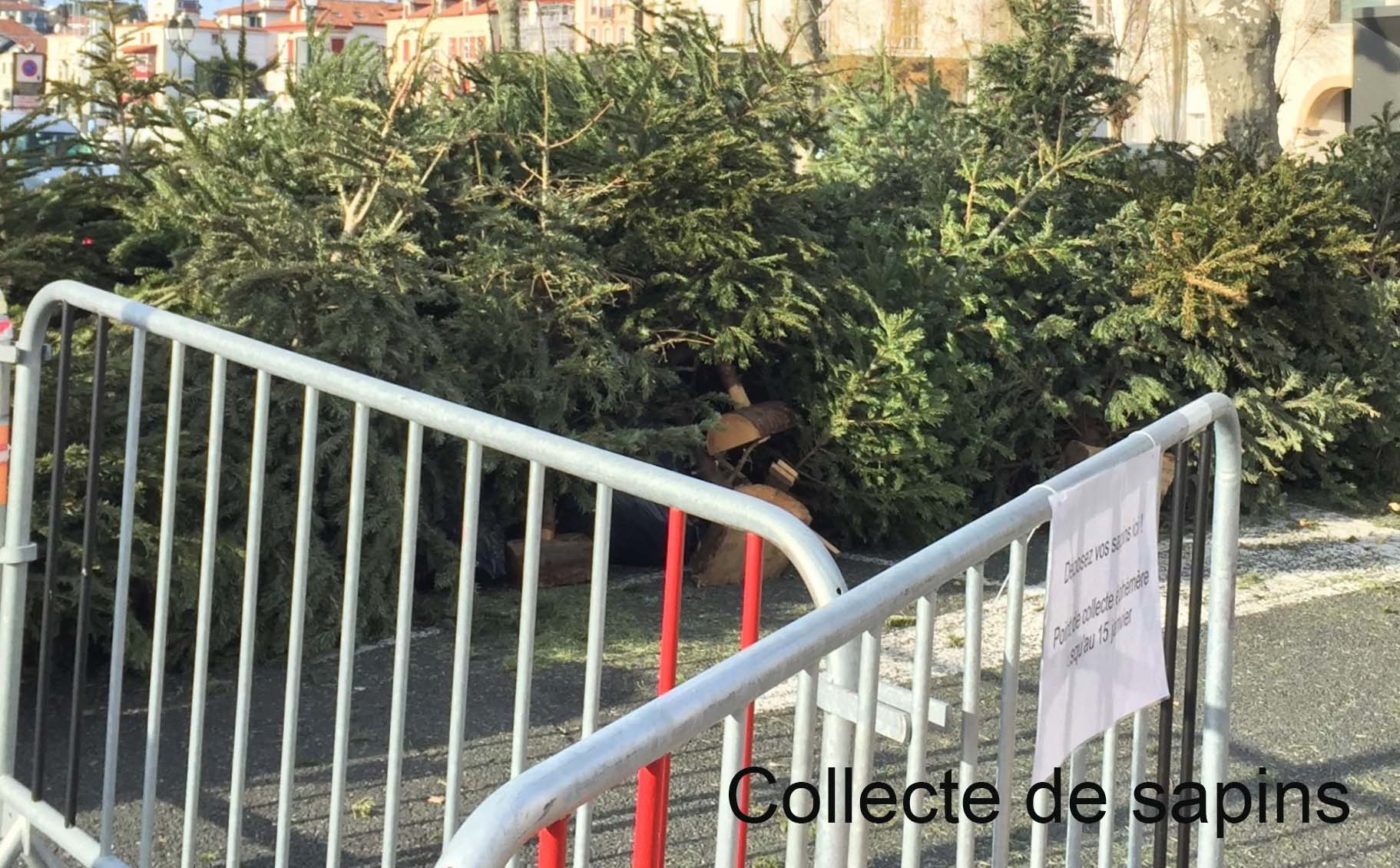 Trois Points De D P T Pour Les Sapins De No L Saint Jean De Luz