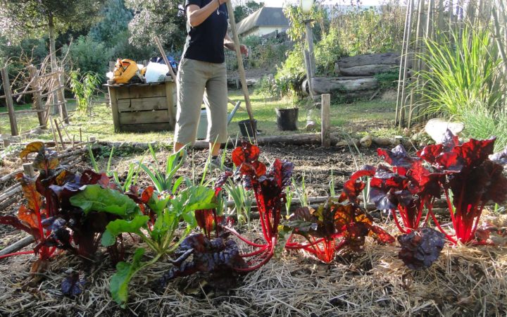 Atelier Jardinage