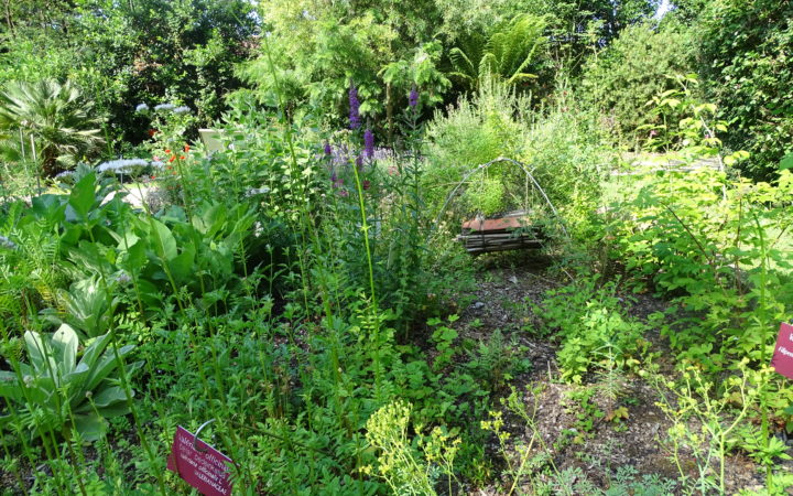 Jardin Botanique (2)